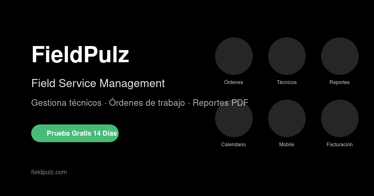 Vista general de FieldPulz para gestión de órdenes y técnicos